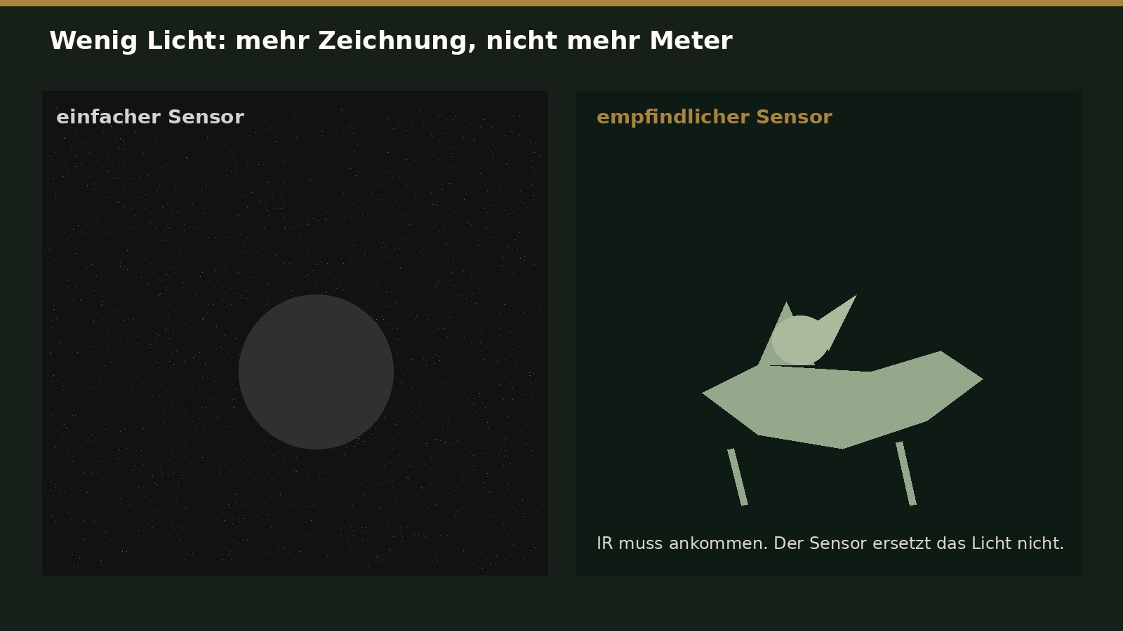 Vergleich: einfacher Sensor mit wenig Zeichnung, empfindlicher Sensor mit erkennbarer Silhouette.