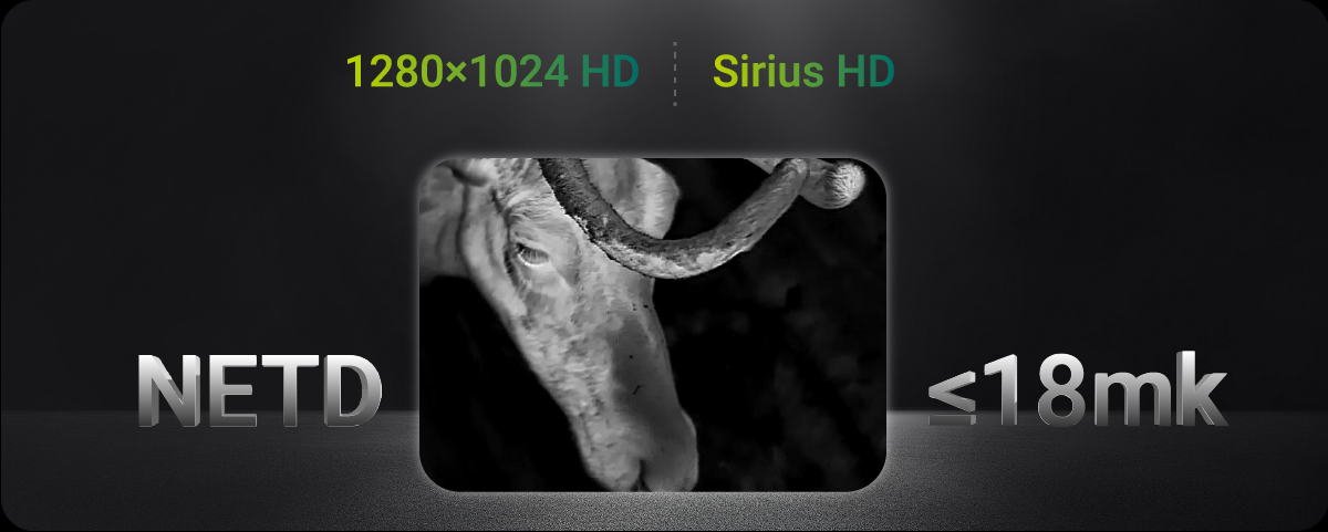 HD-Sensor