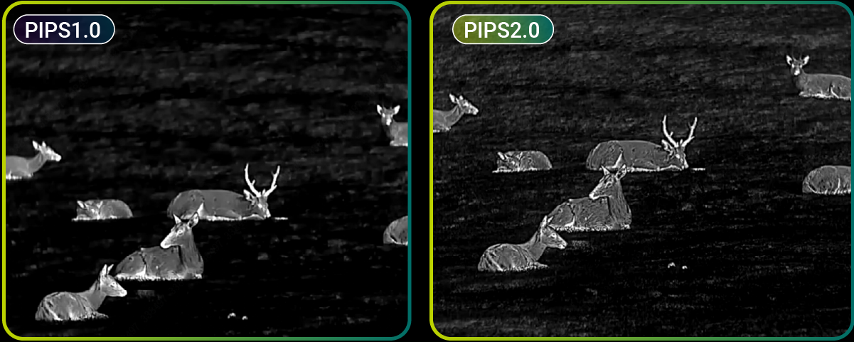PIPS 2.0