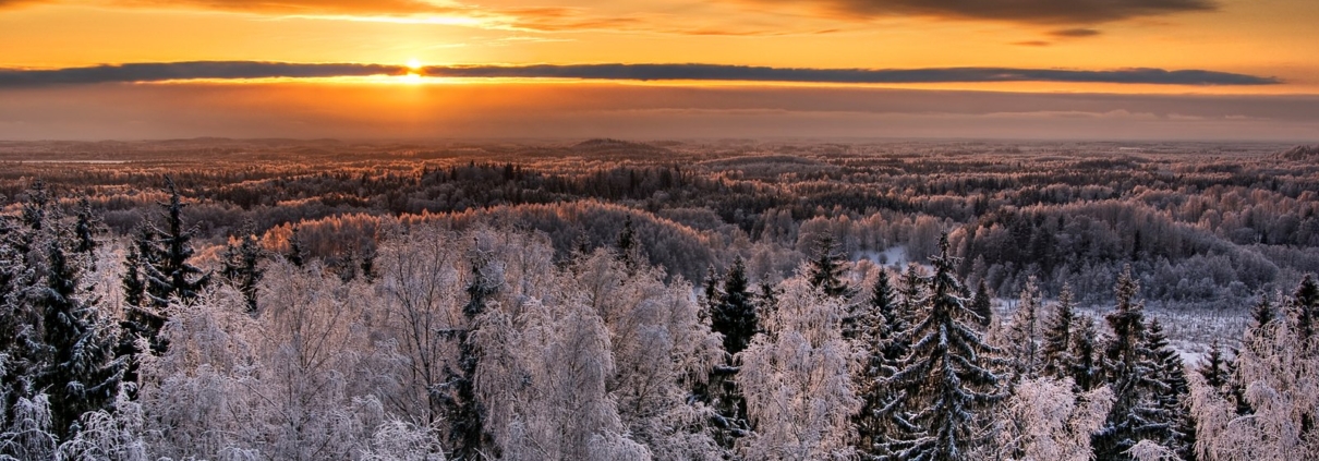 Weiter Winterwald. Das Netz endet nicht an der Baumgrenze, der Tarif aber oft an der Staatsgrenze.