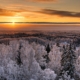Weiter Winterwald. Das Netz endet nicht an der Baumgrenze, der Tarif aber oft an der Staatsgrenze.