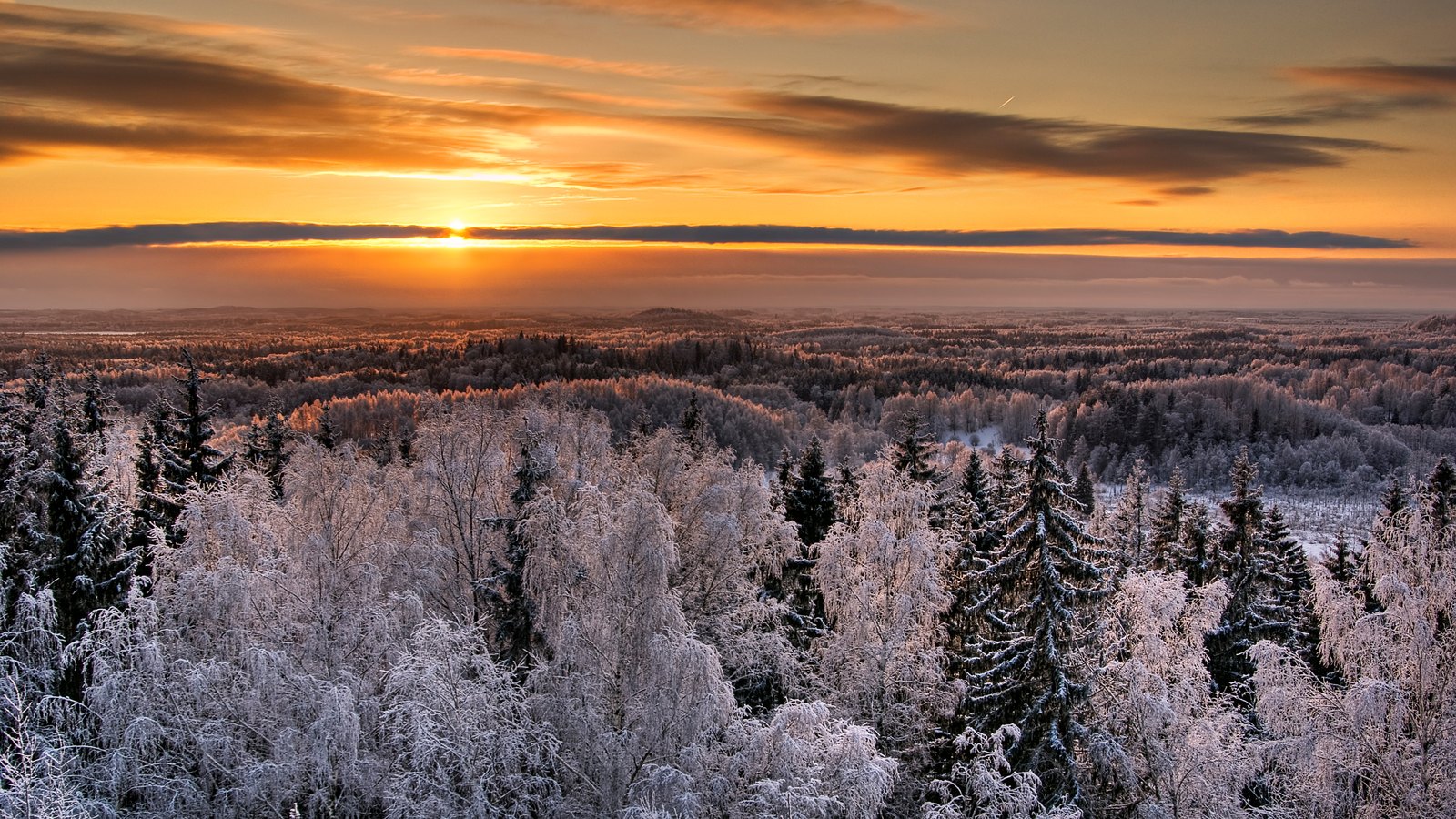 Weiter Winterwald. Das Netz endet nicht an der Baumgrenze, der Tarif aber oft an der Staatsgrenze.